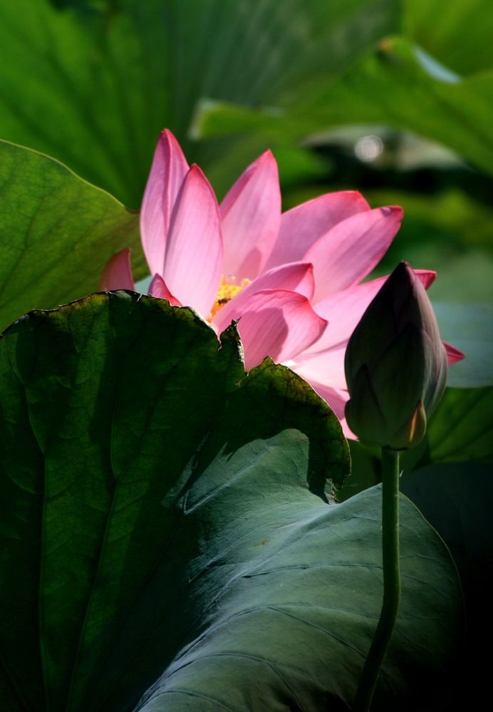 Photograph by Владимир Кулешов