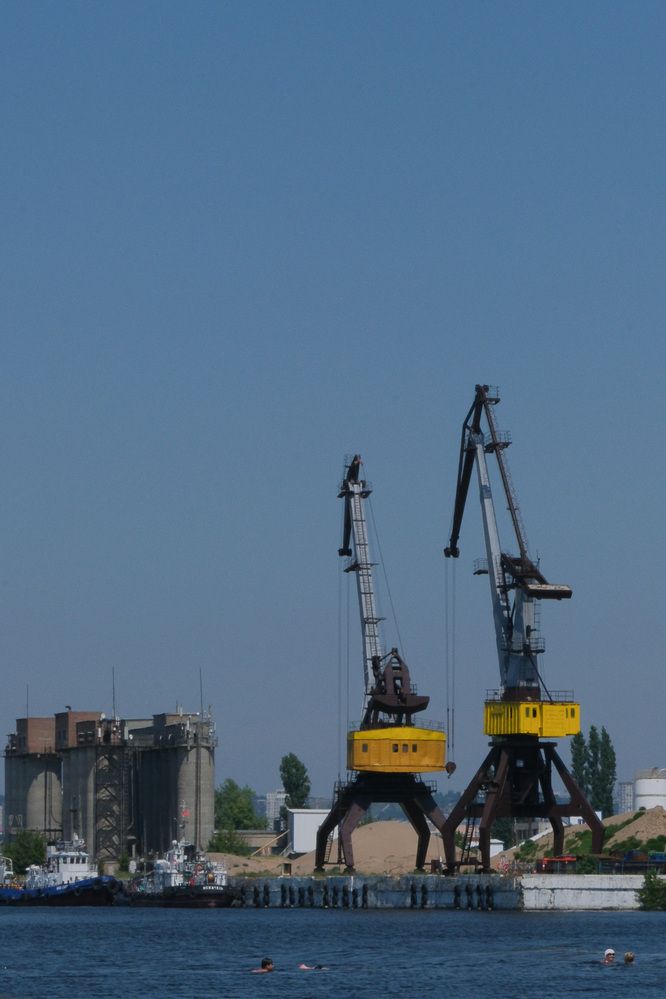 Фотография автора Светлана Ощепкова