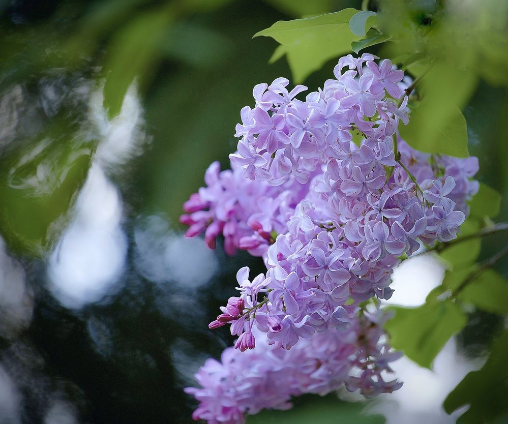 Photograph by Искандар Газизов