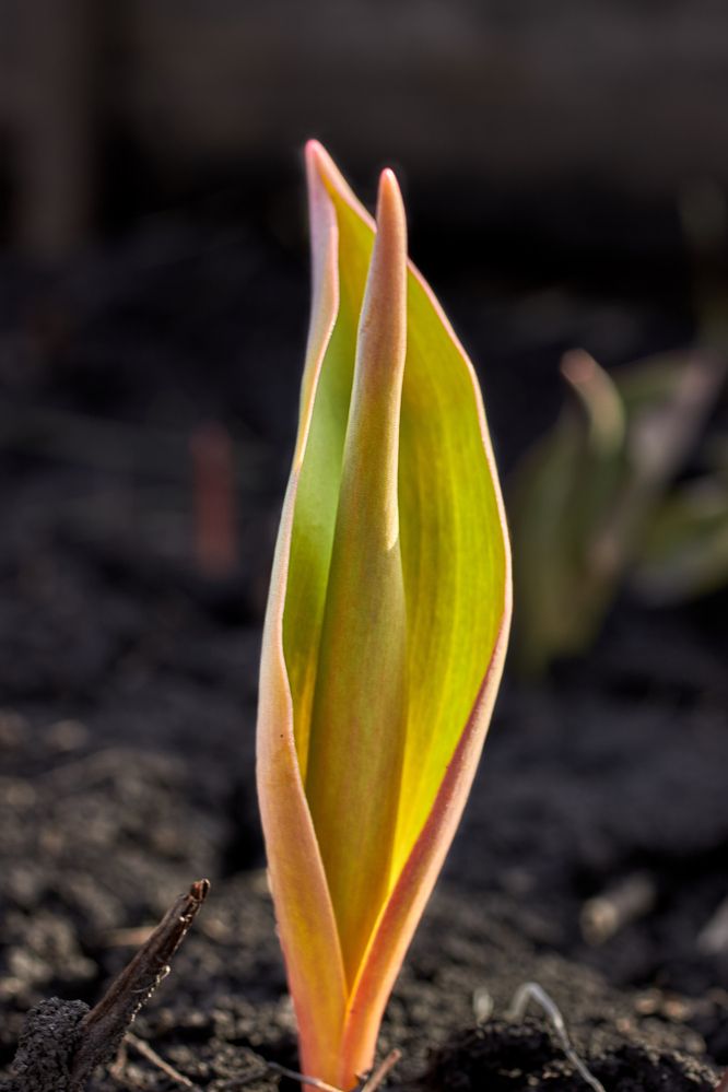 Photograph by Victor Pruhnitskiiy