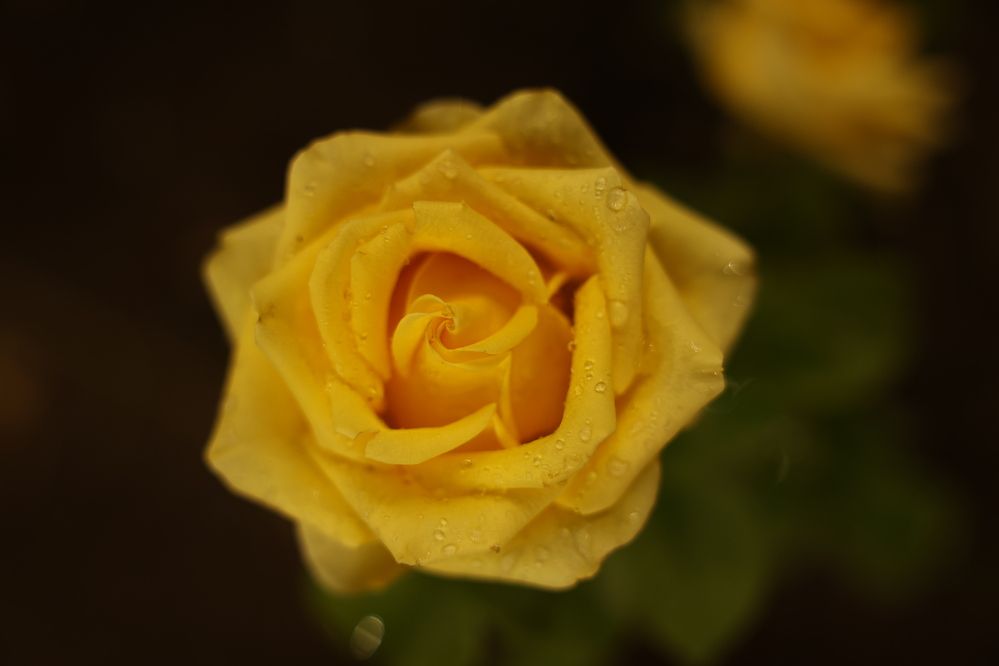 Photograph by Асмик Саргсян