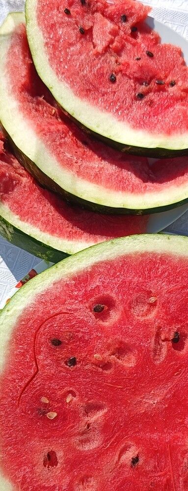 Фотография автора Елена Александрова