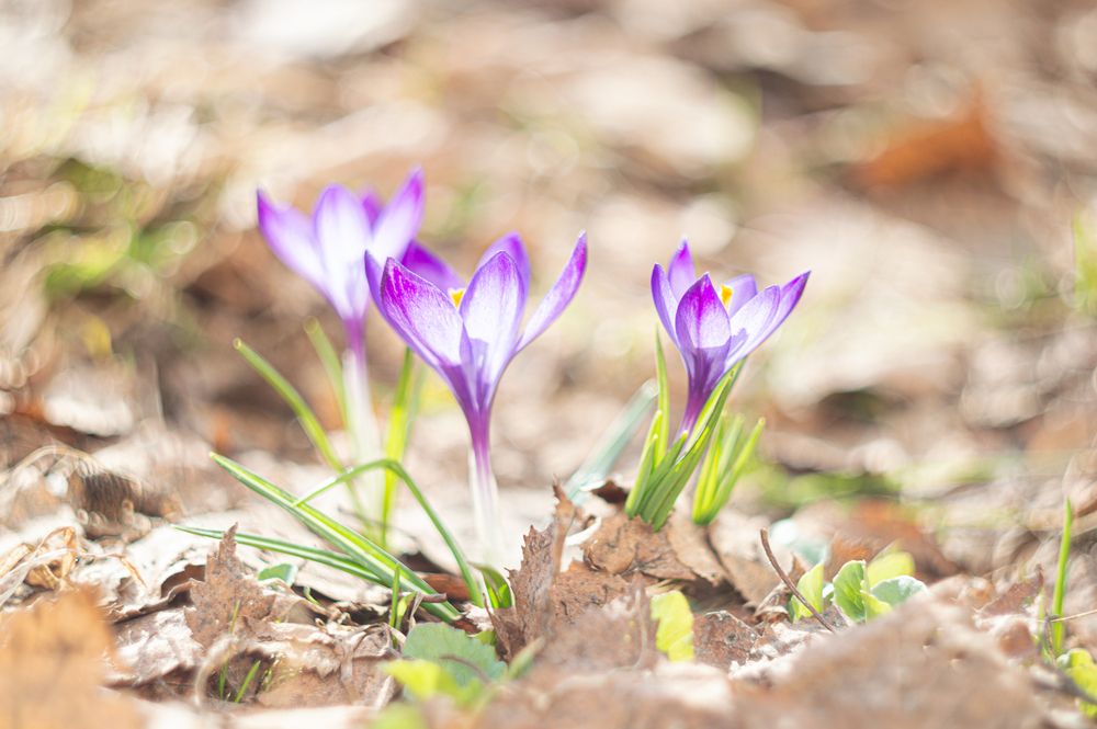 Photograph by Mysov Ivan