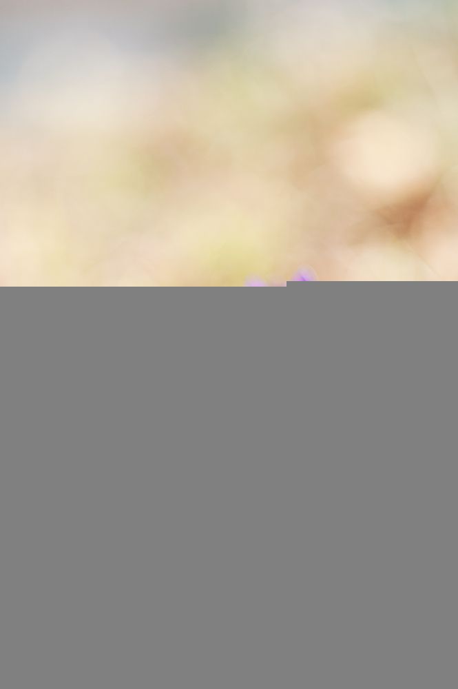 Photograph by Mysov Ivan