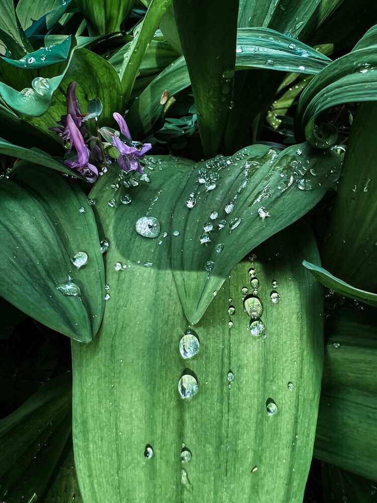 Photograph by Виктория Максюта