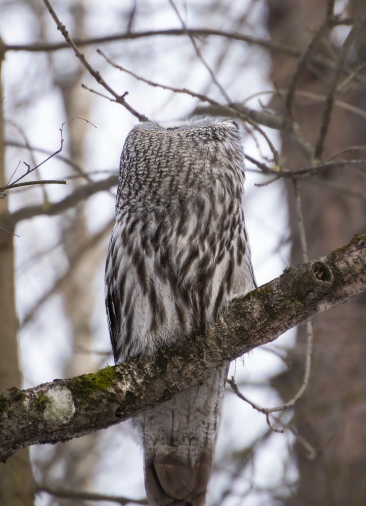 Photograph by Валентина Куренкова