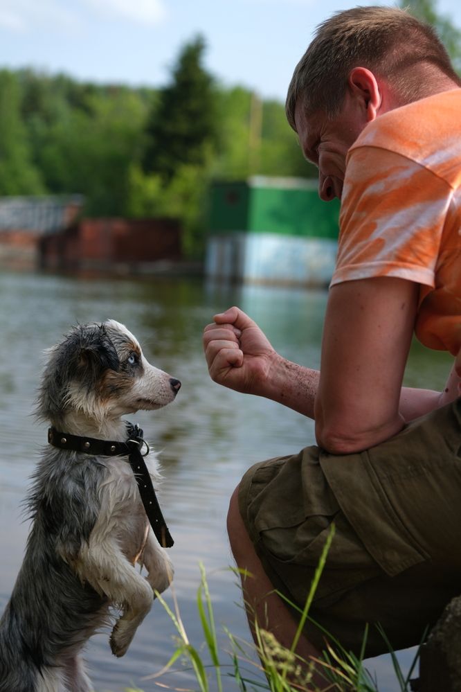 Фотография автора Светлана Ощепкова