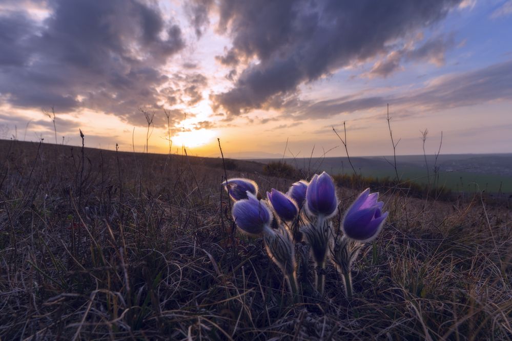 Photograph by Юлия Мальцева