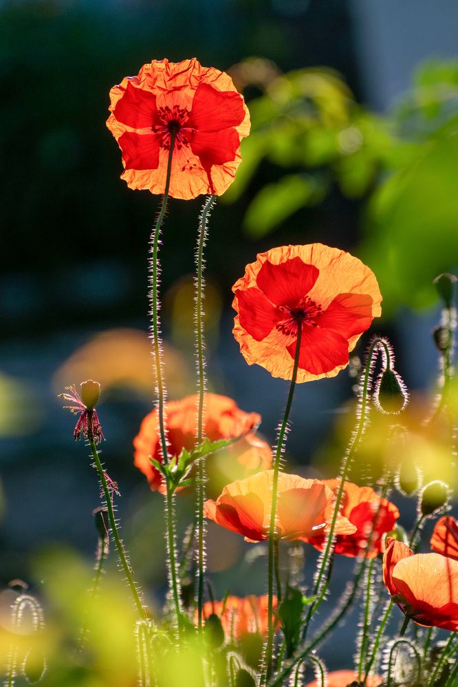 Photograph by Margarita