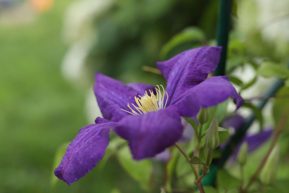 Photograph by Дарья Кондрашонок