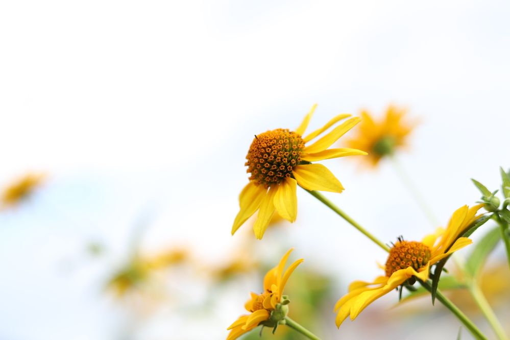 Photograph by Дарья Кондрашонок