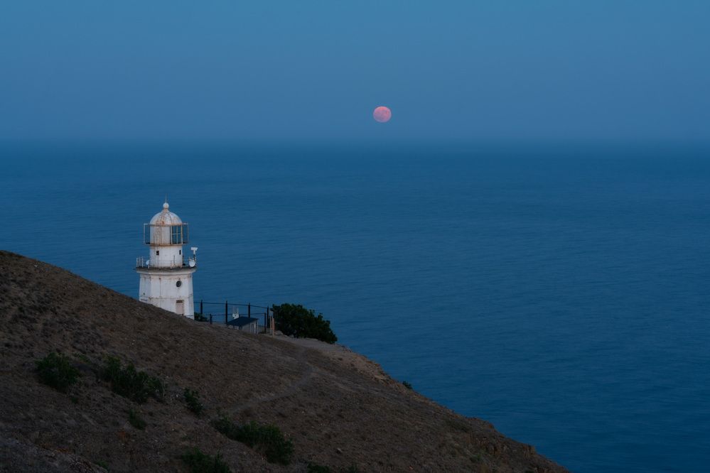 Photograph by Юлия Мальцева