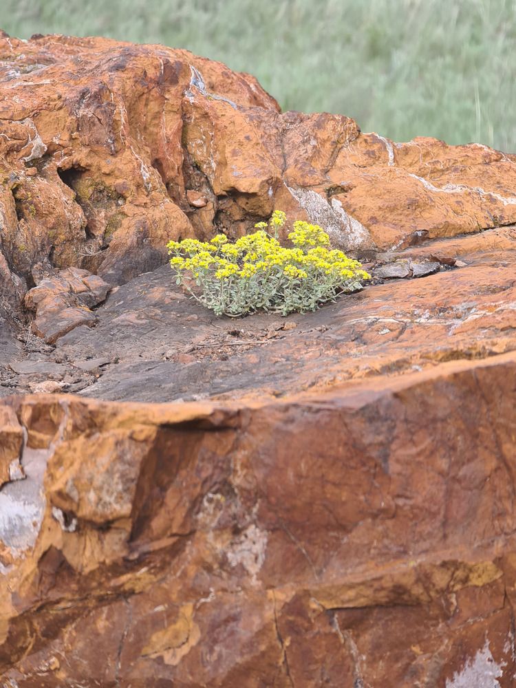 Фотография автора Валентин Науменков