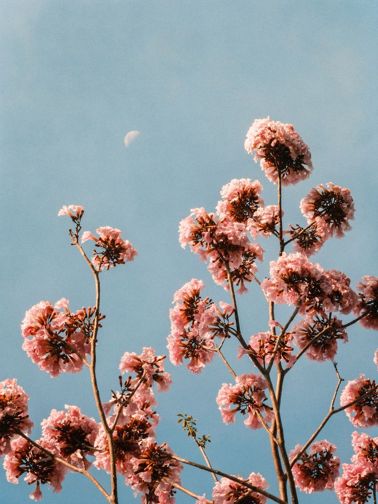 Photograph by Chau Nguyen