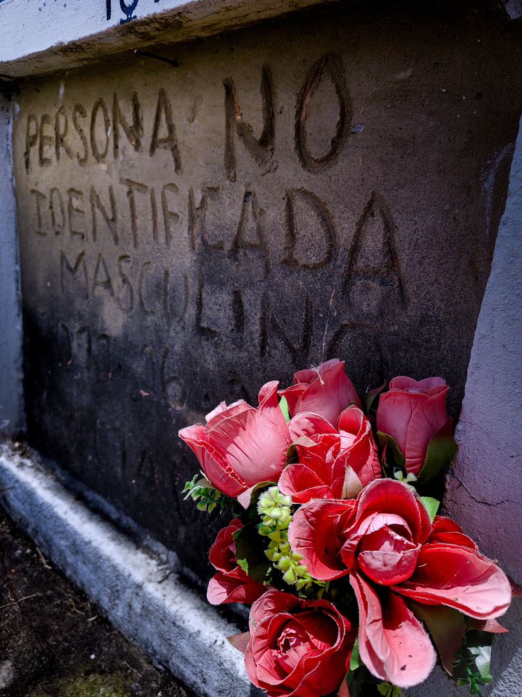 Фотография автора Camilo Rojas