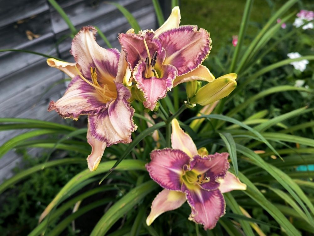 Фотография автора Александр Осинцев