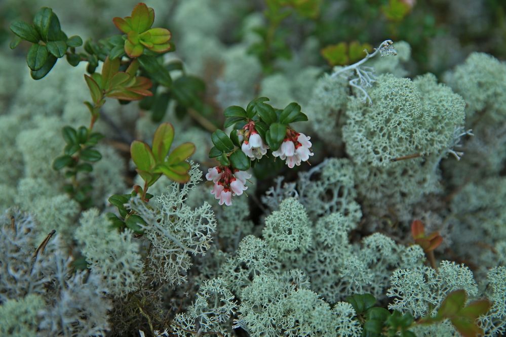 Фотография автора Юрий Кетель