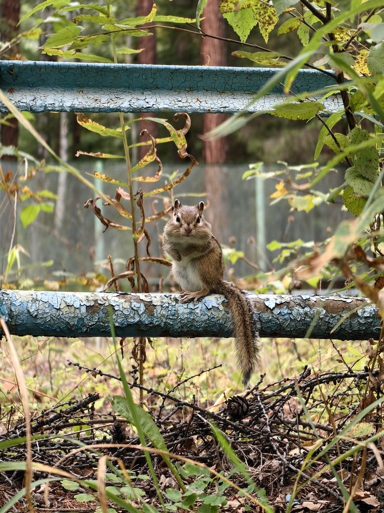 Photograph by Валерия Иваненко