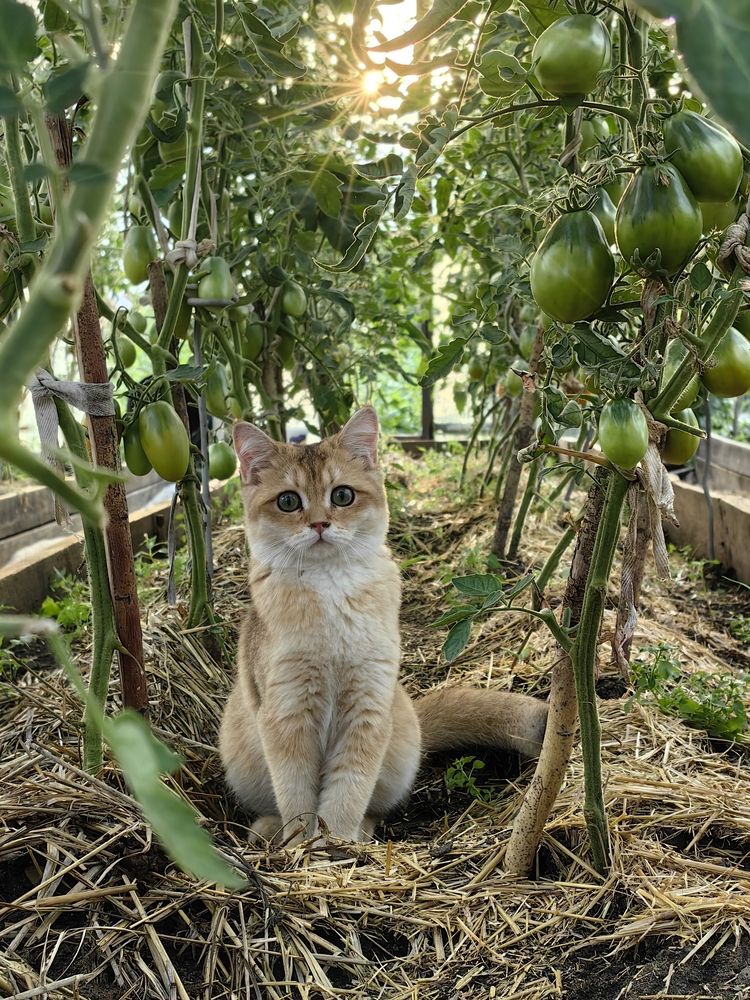 Photograph by Валерия Иваненко
