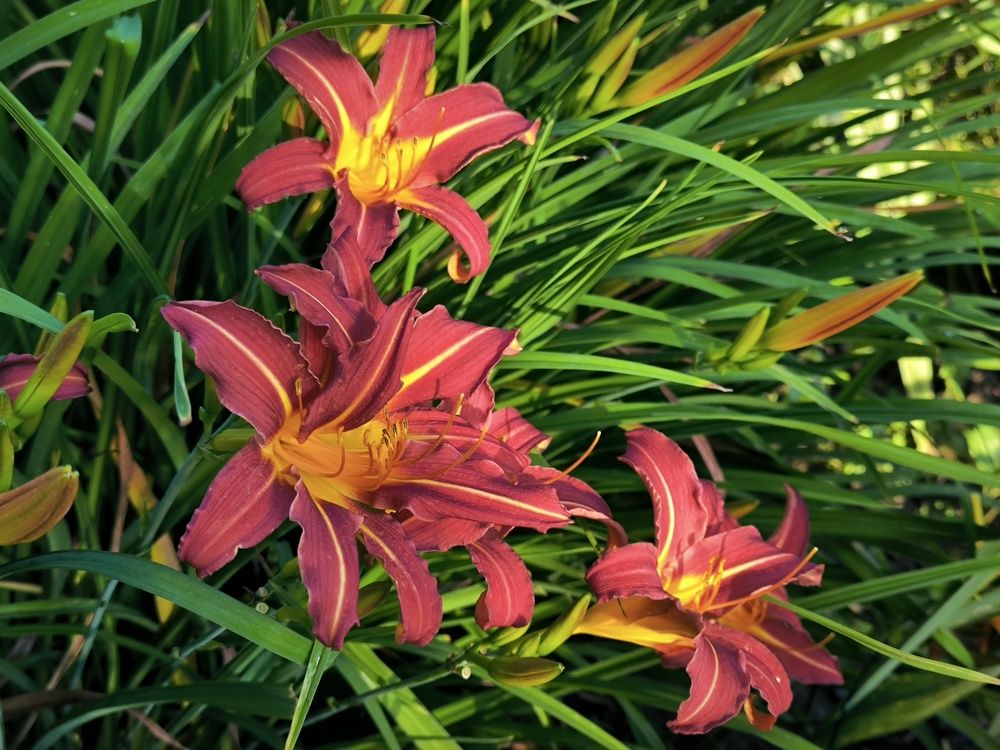 Фотография автора Александр Осинцев