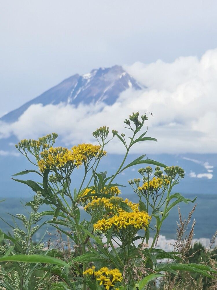 Фотография автора Валентин Науменков