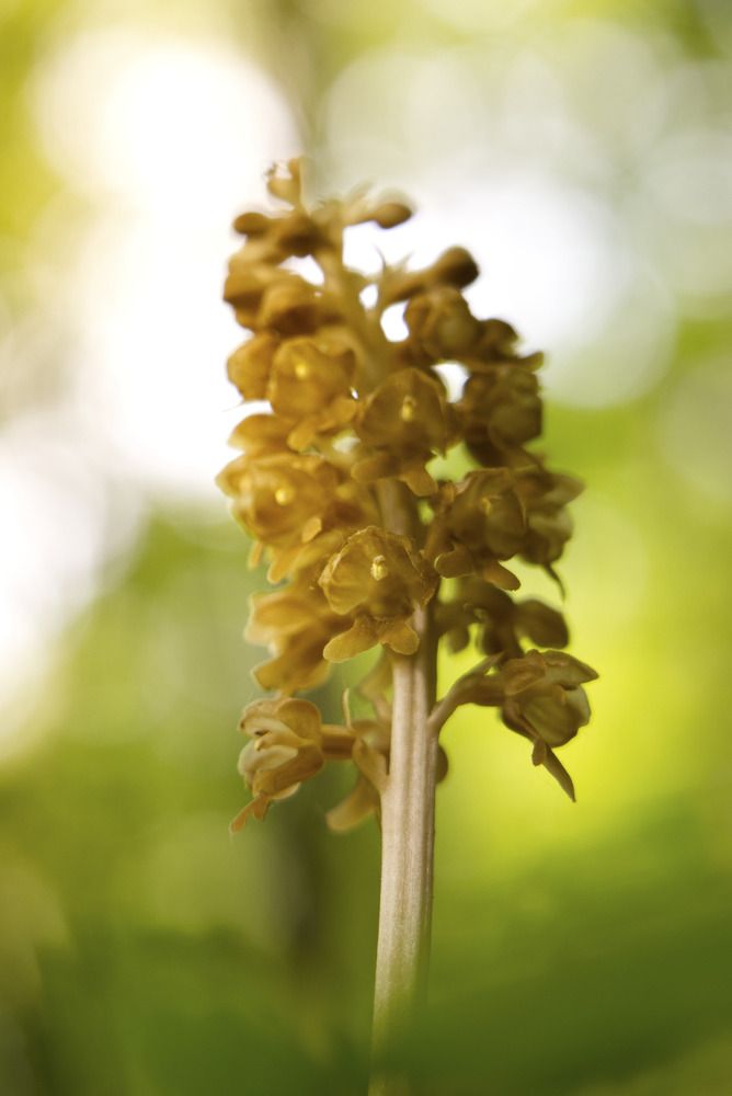 Photograph by FILIP BETKO