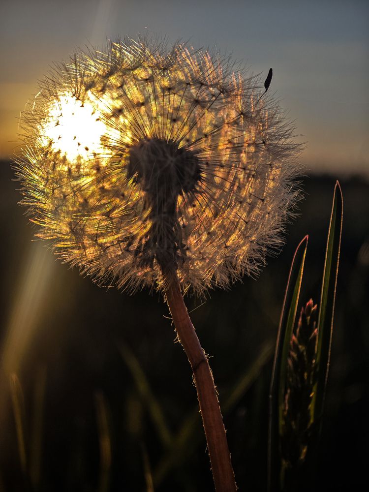 Photograph by Екатерина Лавринович