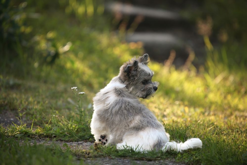 Photograph by Anastassia