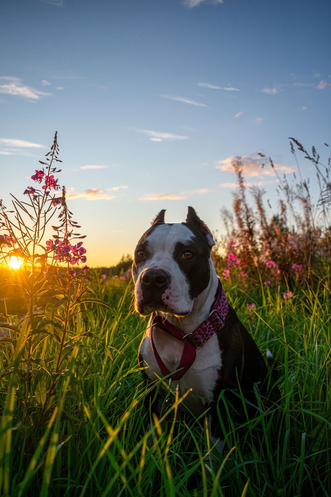 Photograph by Коростелев Владислав