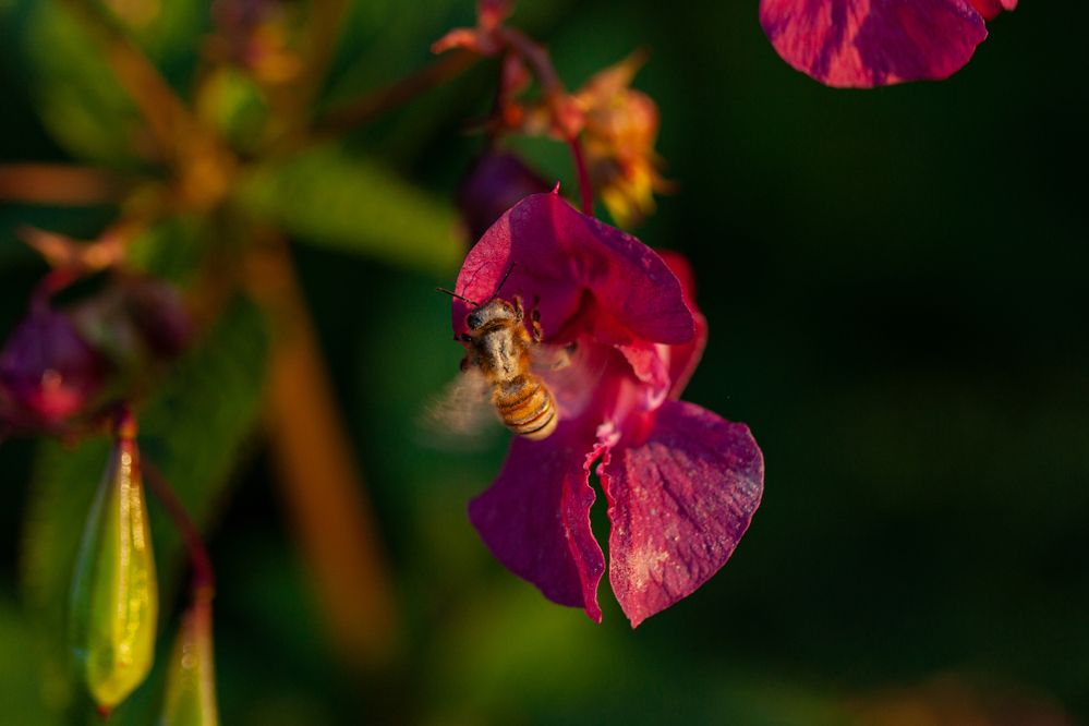 Photograph by Денис Дорошенко