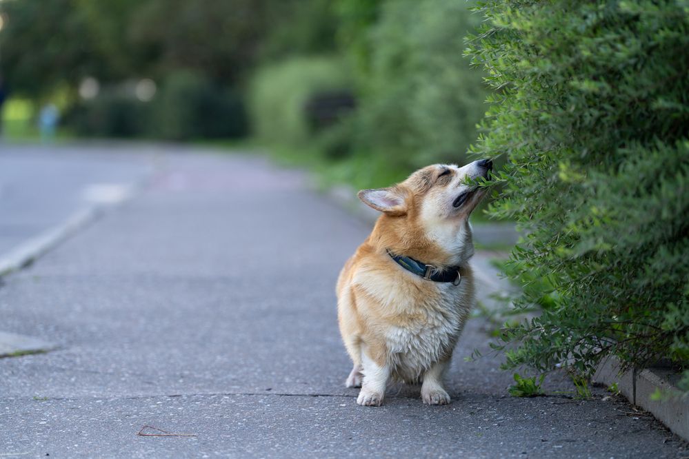 Photograph by Malinkin Sergey