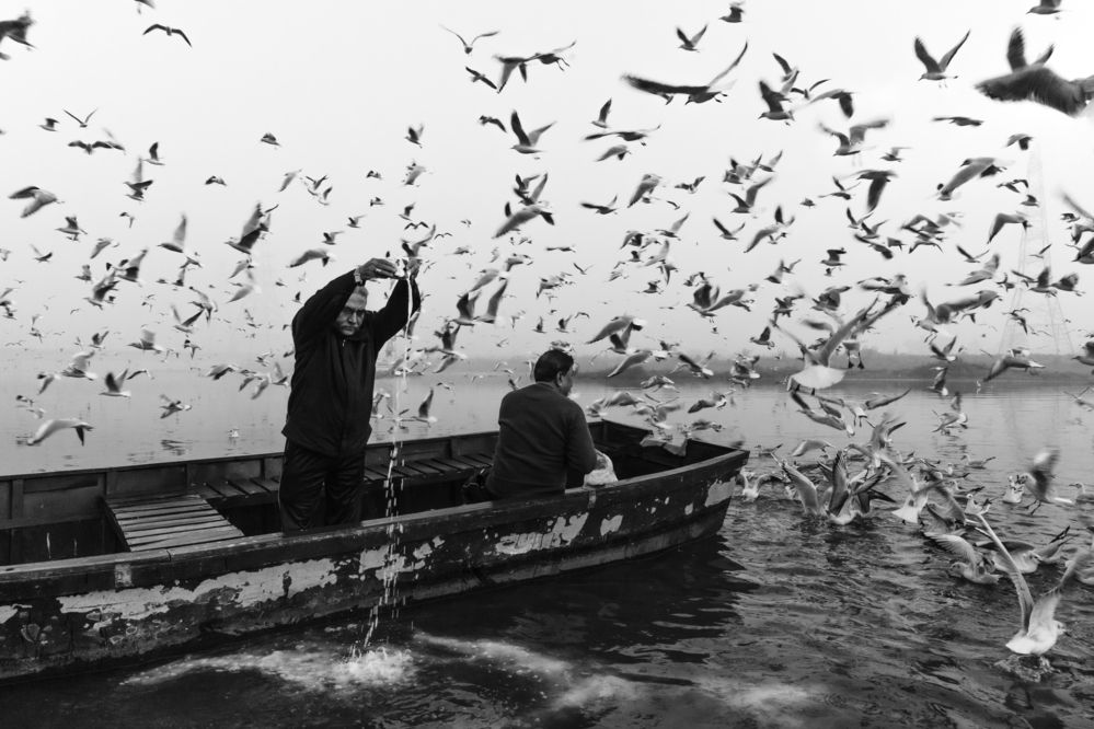 Фотография автора Irfan Abbas