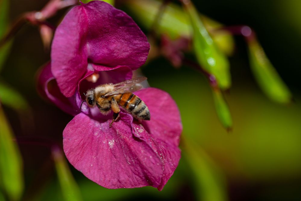 Photograph by Денис Дорошенко
