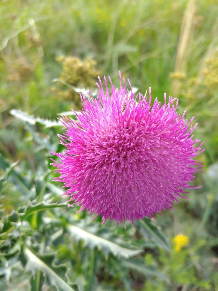 Photograph by Анна Олеговна