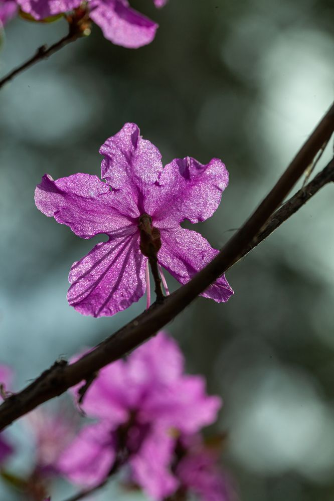 Photograph by Денис Дорошенко