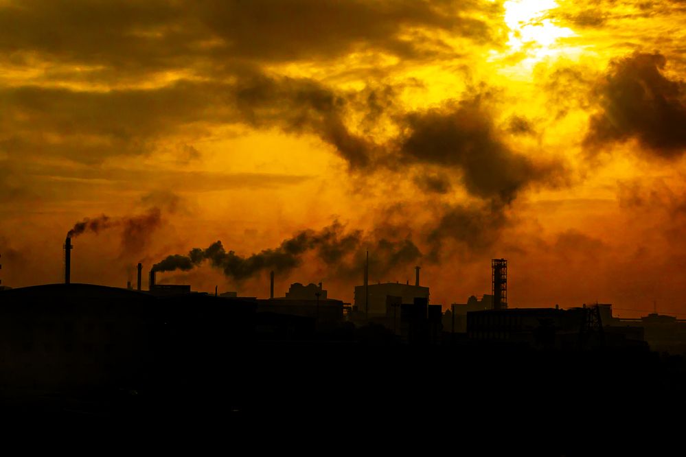 Фотография автора Irfan Abbas