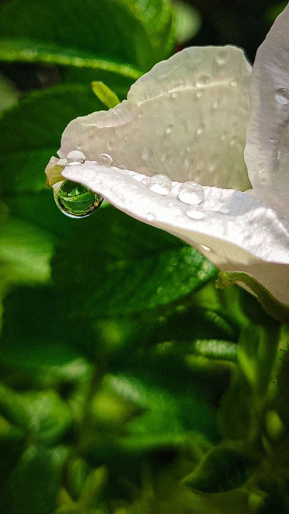 Photograph by Евгения Гродинская