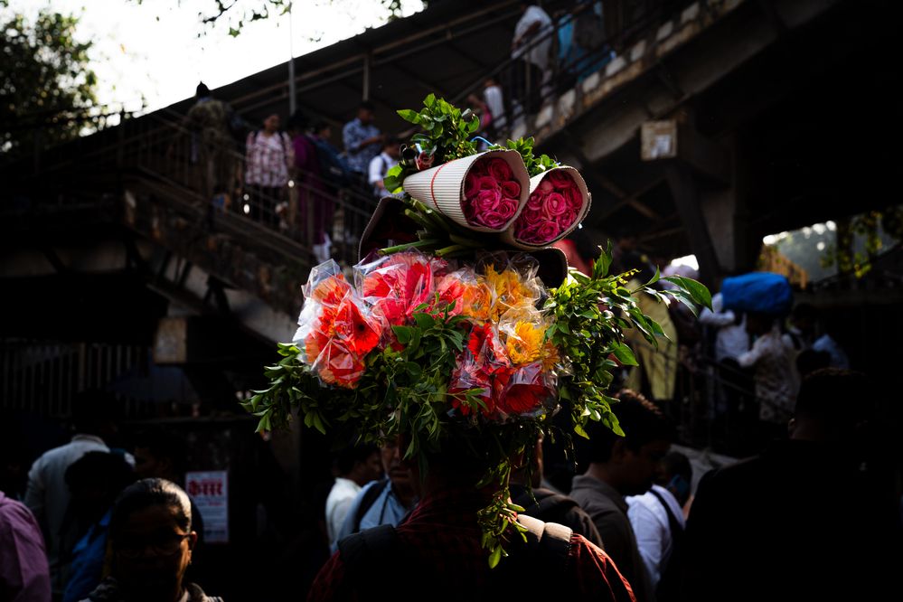 Фотография автора Irfan Abbas