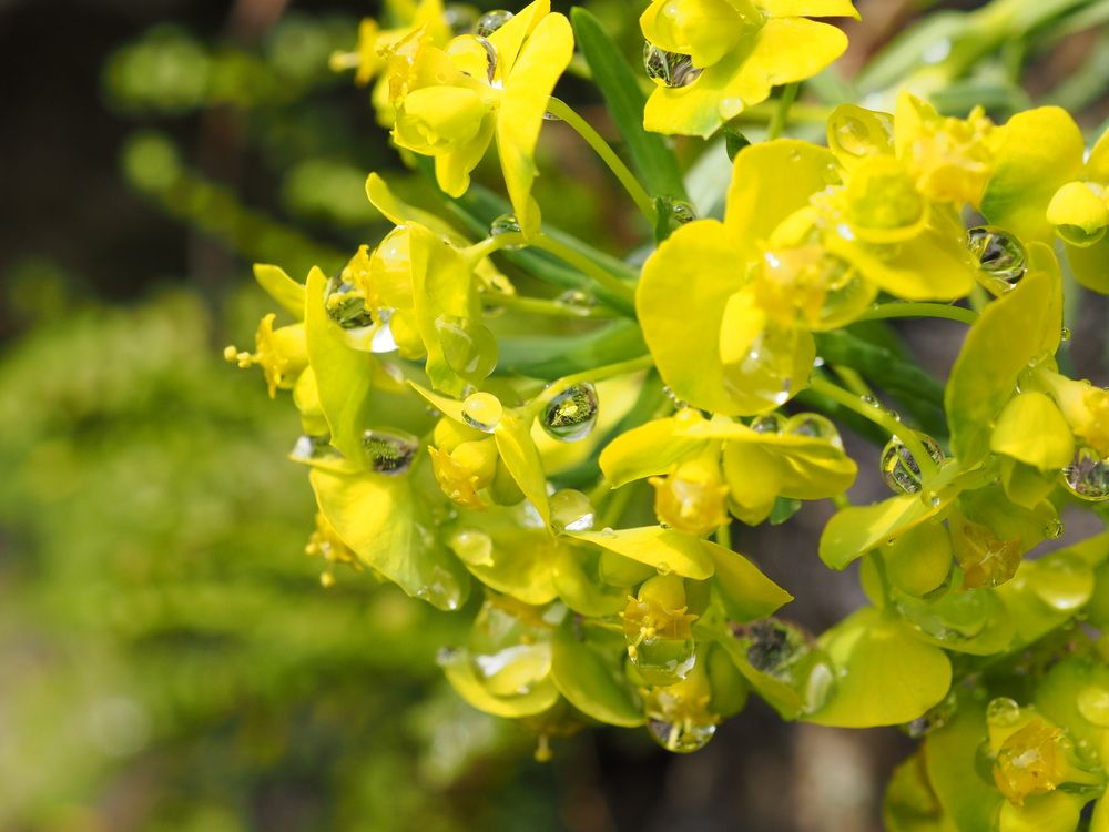 Photograph by Patrizia Bellotti