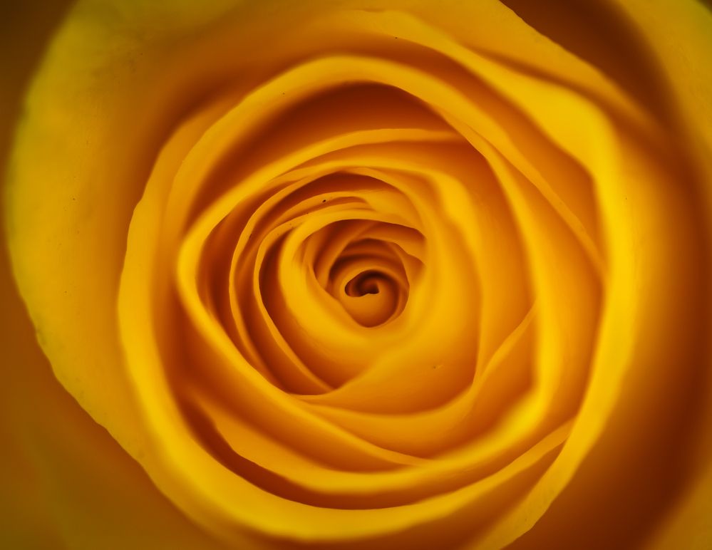 Photograph by Germán Garibay