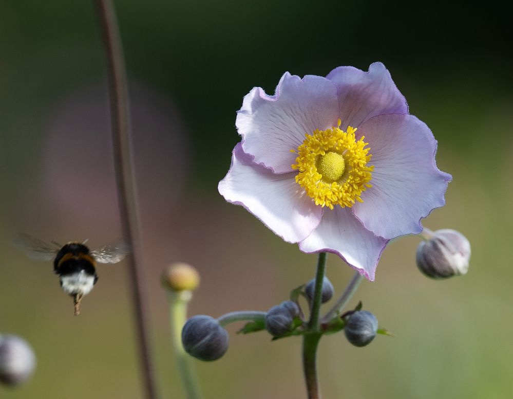 Photograph by Дмитрий Ткаченко