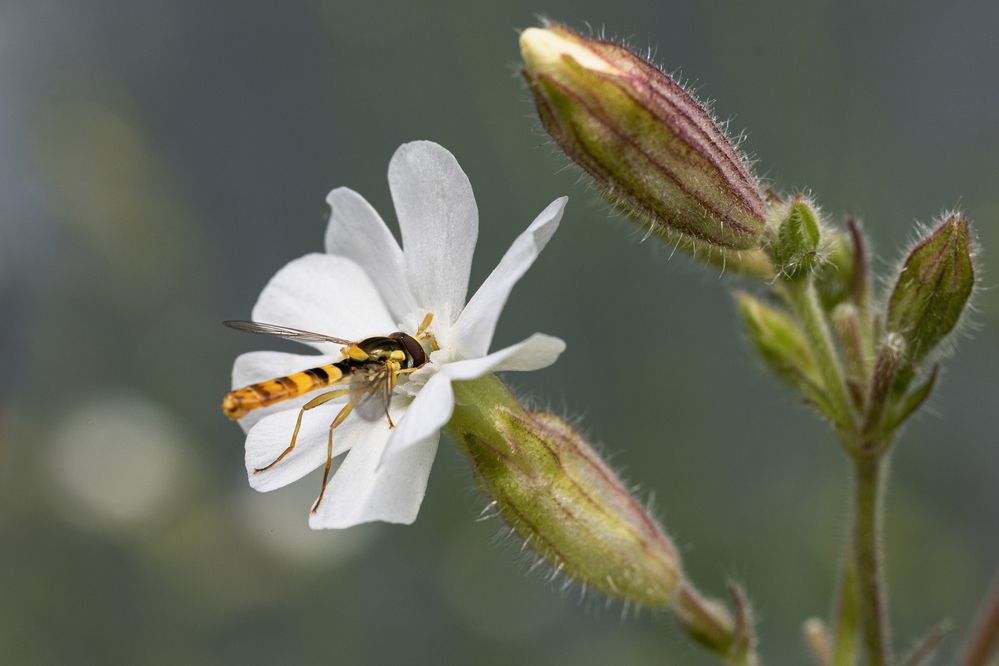 Фотография автора Ирина Гриценко