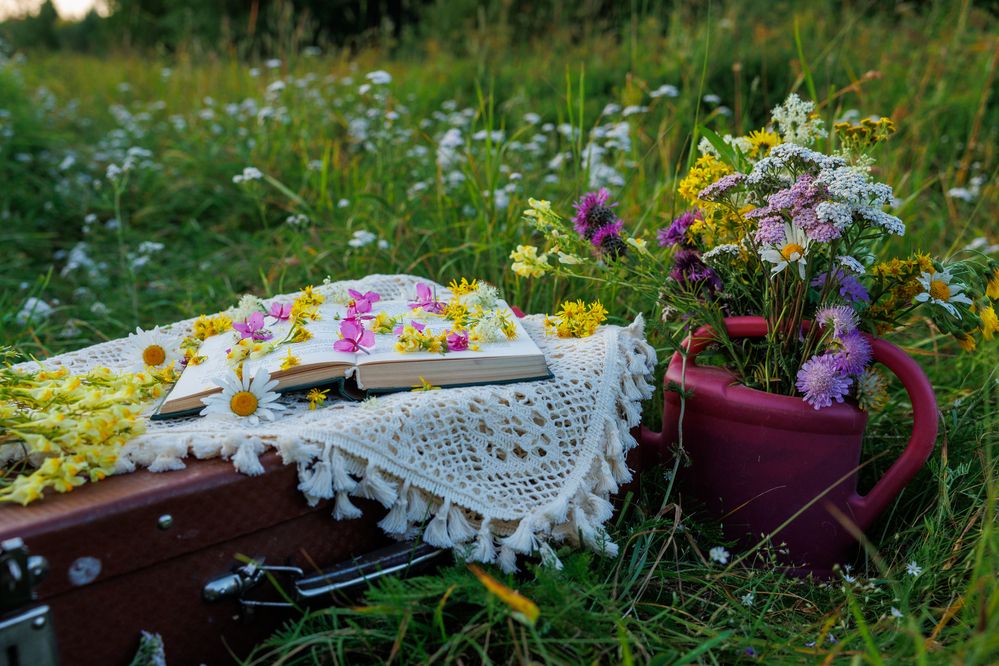 Photograph by Дарья Слонова