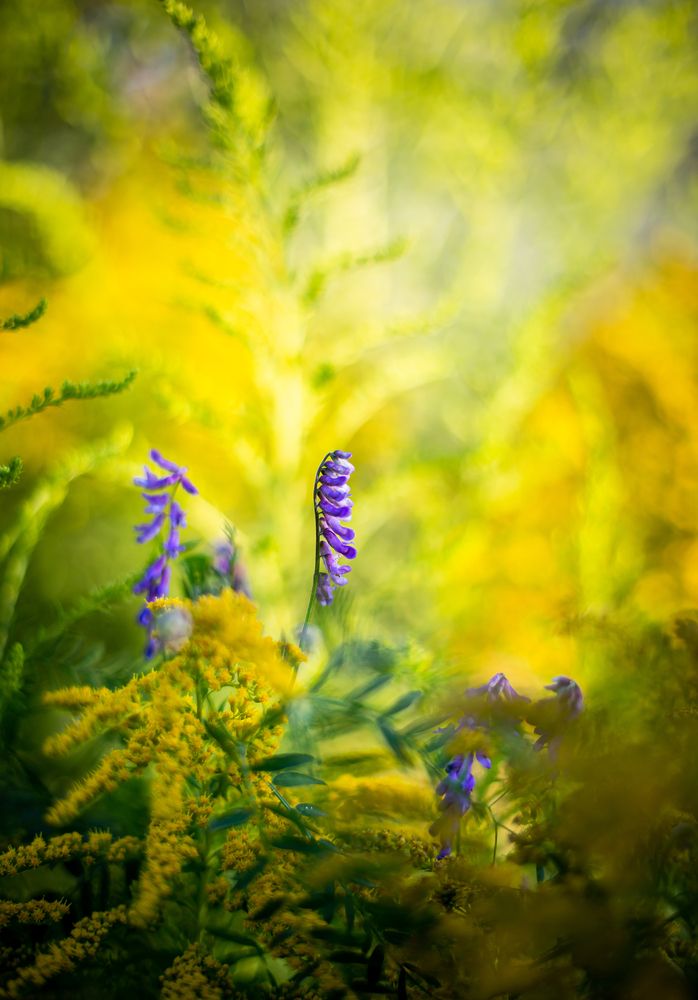 Photograph by Ирина Шевакова