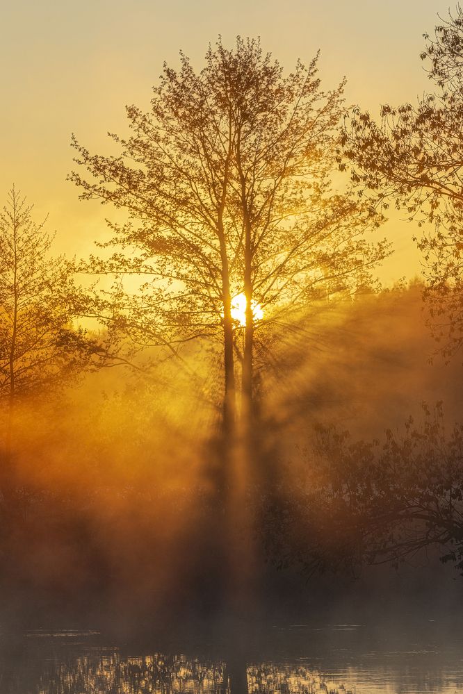 Photograph by Leanid Kulpo