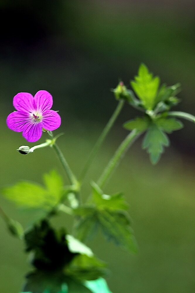 Photograph by Леонид Азаров