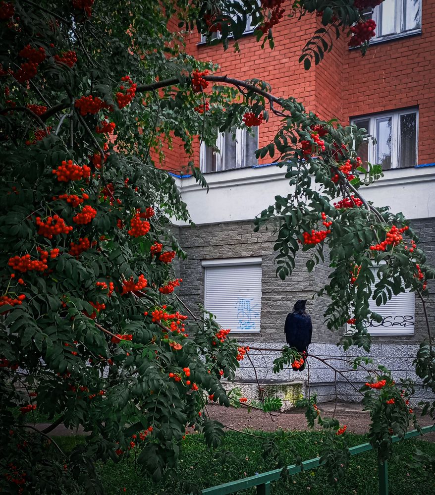 Photograph by Елена Ерасова