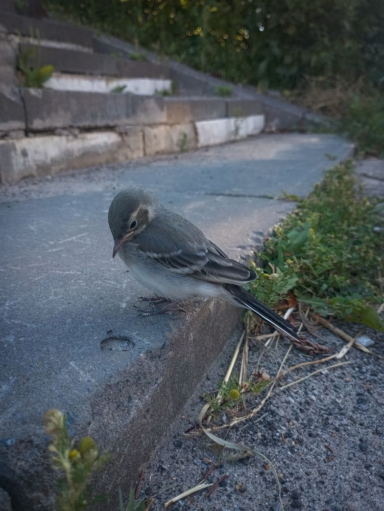 Photograph by Елена Ерасова