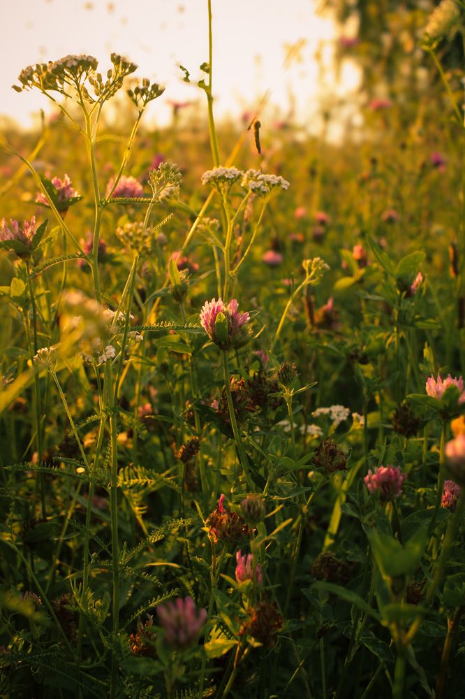 Photograph by Эмма Астапова