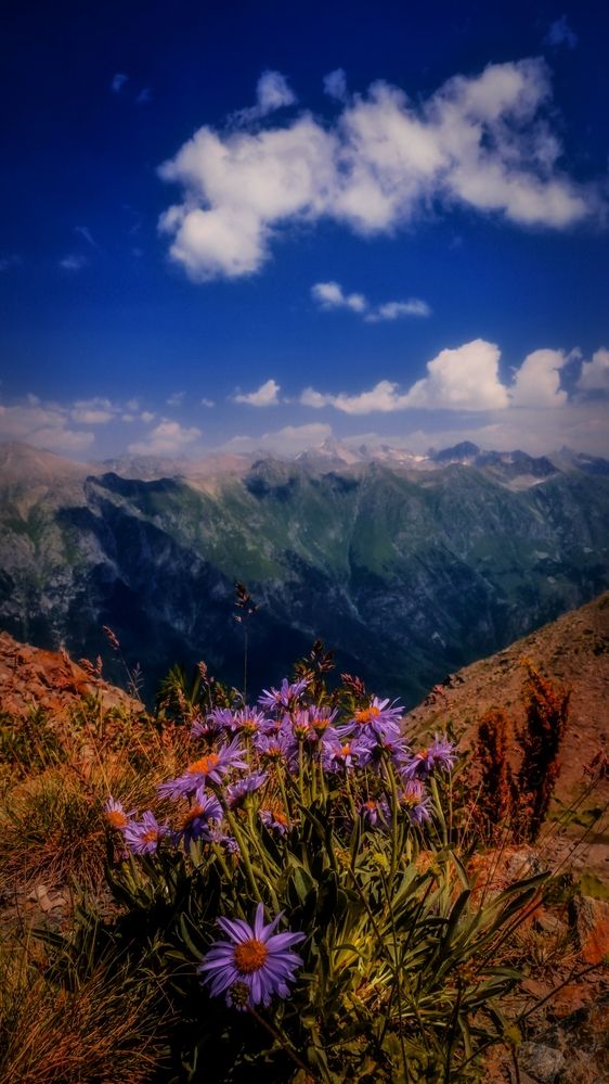 Photograph by Медведева Елена